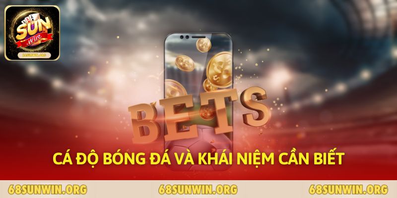 Cá độ bóng đá và khái niệm cần biết 