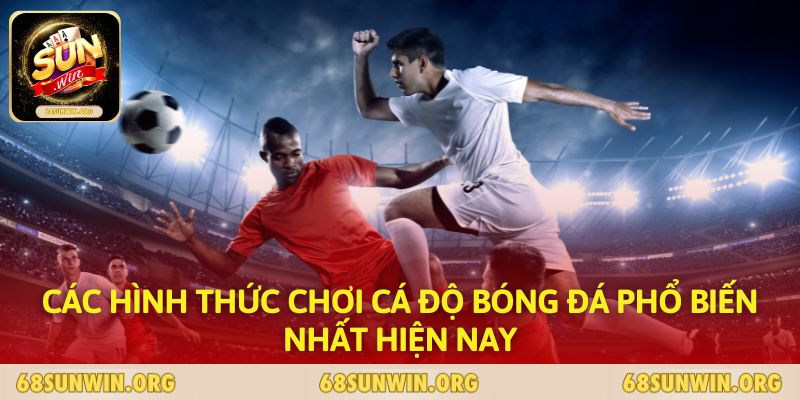 Các hình thức chơi cá độ bóng đá phổ biến nhất hiện nay