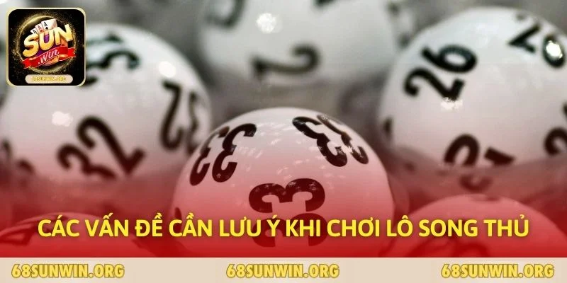 Các vấn đề cần lưu ý khi chơi lô song thủ