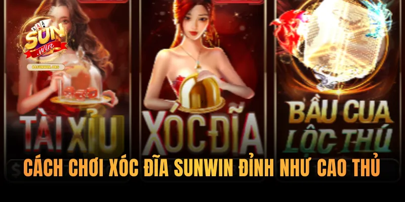 Cách chơi xóc đĩa Sunwin đỉnh như cao thủ
