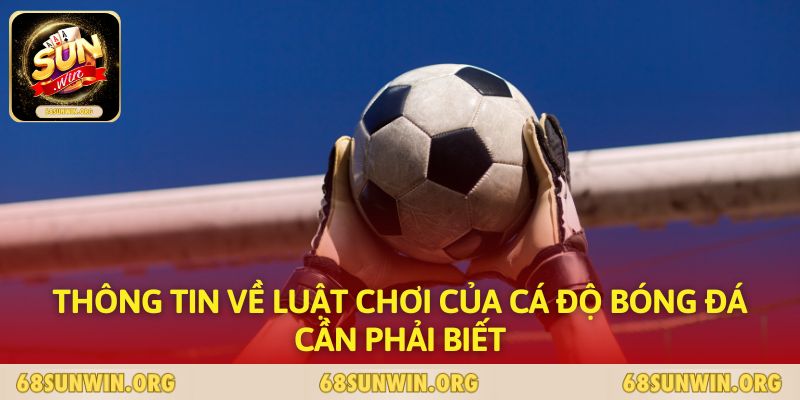 Thông tin về luật chơi của cá độ bóng đá cần phải biết